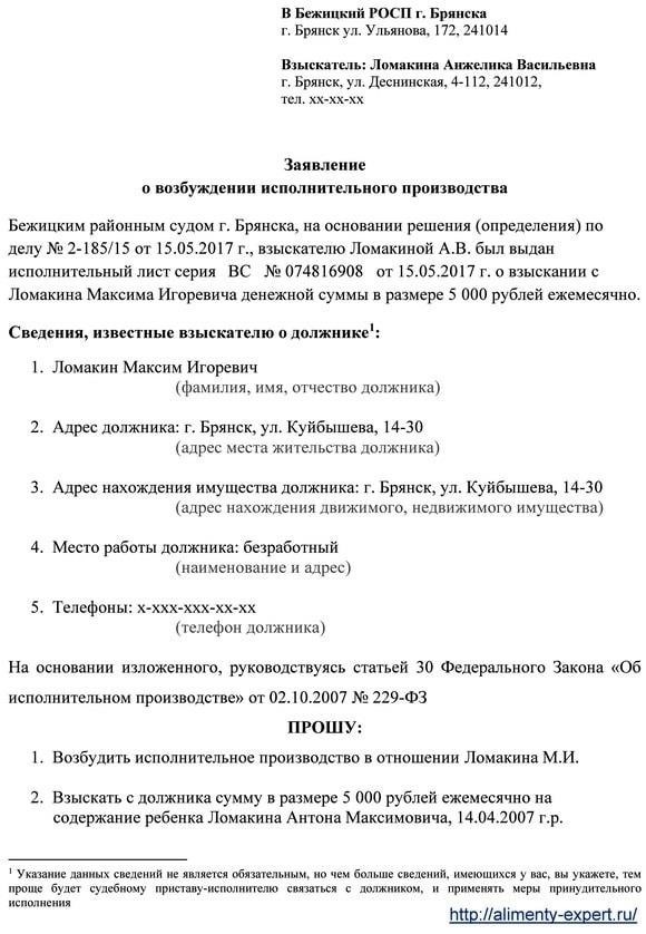 Как пройти процедуру добровольного исполнения без реквизитов реквизитов