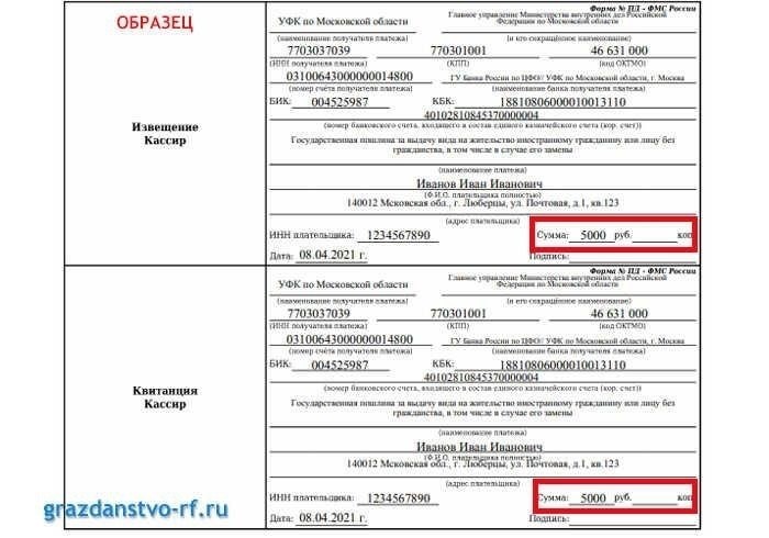 Как заполнить платежный документ для оплаты государственной пошлины в 2024 году