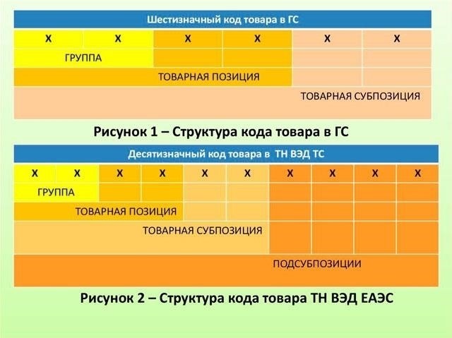Ключевые услуги TN VED, способствующие внешнеэкономической деятельности