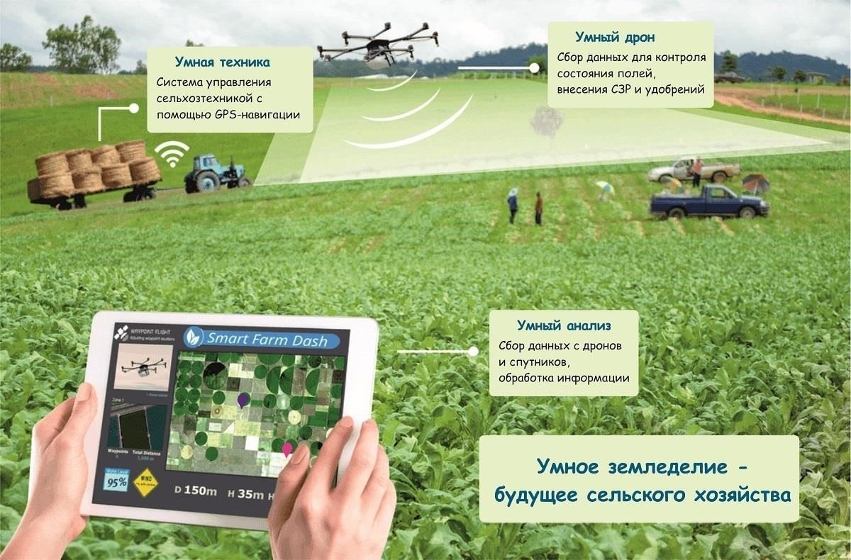 Обзор концепции электронного сельскохозяйственного учета