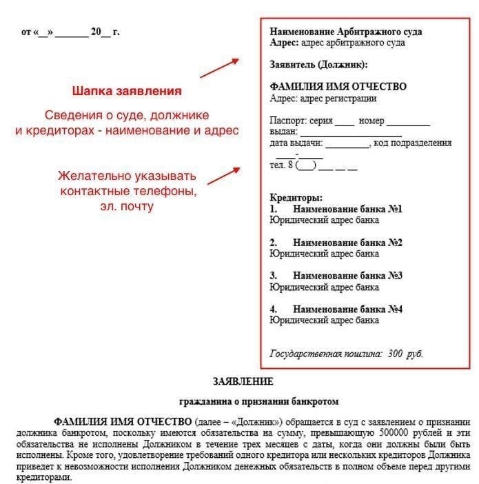 Подача заявления о банкротстве физического лица