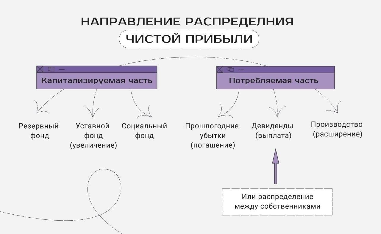 Понимание распределения прибыли ООО для одного участника