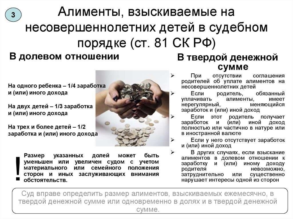 Порядок судопроизводства по делам об алиментах: Основные этапы и сроки