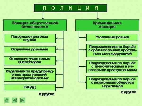 Роли и обязанности сотрудников полиции в Министерстве внутренних дел