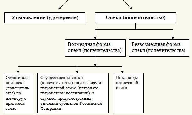 Сотрудничество между ИДН и органами опеки и попечительства