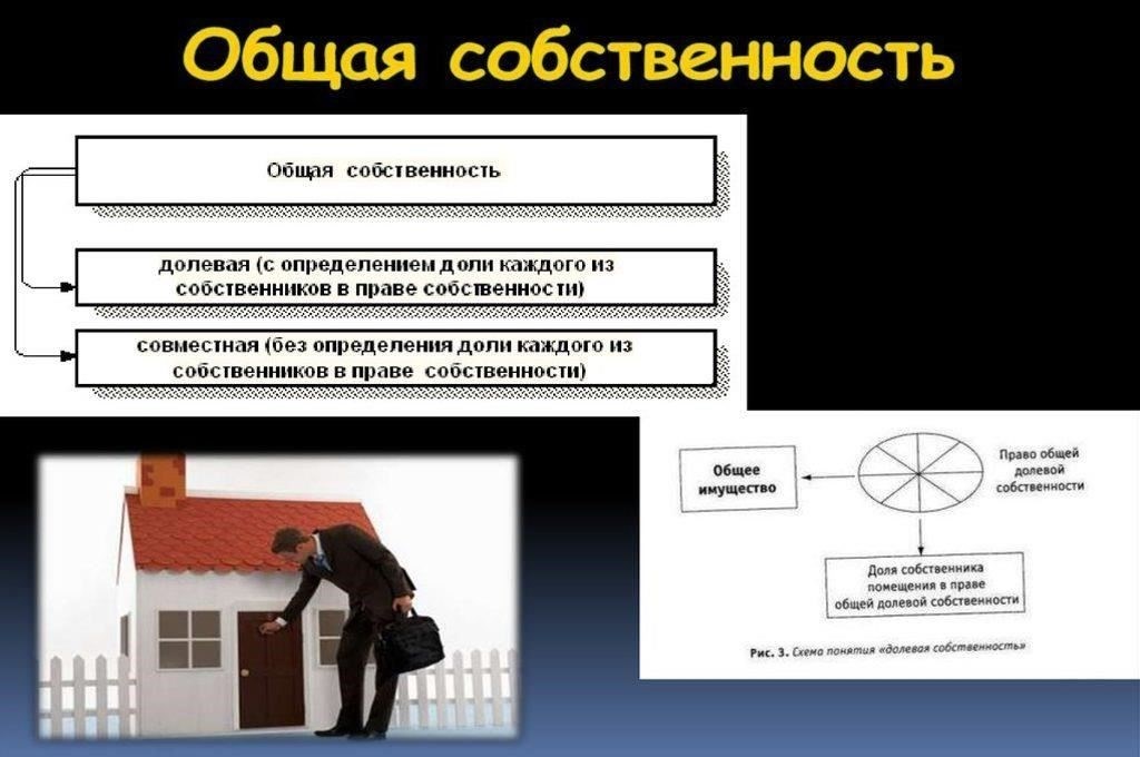Виды собственности в совместном жилье: Что нужно знать